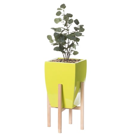 Patio Trasero 23 x 16 x 16 in. Indoor Decorative Square Planter with Wooden Stand, Green PA2484130
